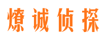 天峻找人公司